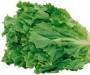 Paksoy