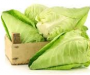 Witte kool fruit salade