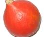 Hokkaido Pompoen
