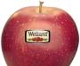 Wellant Appels