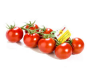 Tasty tom tomaten