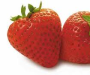 HOLLANDSE AARDBEIEN