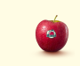 BLOSS APPELS