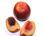 NECTARINE