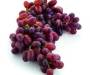 Rode Druiven Pitloos
