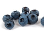 Blauwe bessen