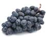 BLAUWE DRUIVEN PITLOOS