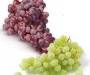 Witte of Rode Pitloze druiven